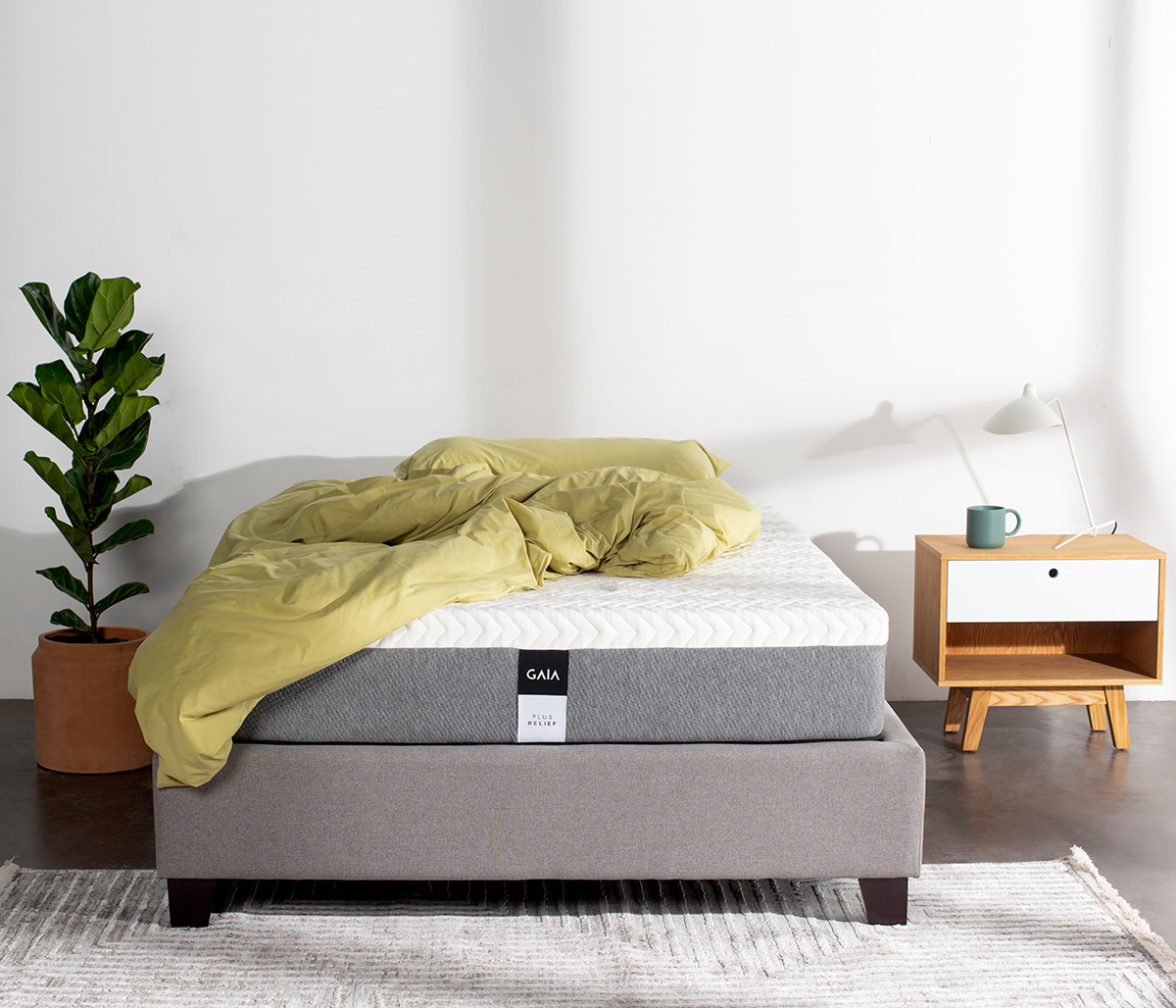 Colchón GAIA Plus - Queen size